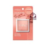 SIS2SIS COLOR BLUSH 02