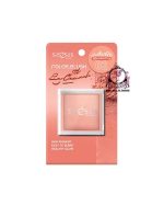 SIS2SIS COLOR BLUSH 02