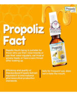 PROPOLIZ MOUTH SPRAY PROPOLIS EXTRACT - Image 3