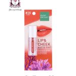 BABY BRIGHT Lip & Cheek Matte Tint #28 Pumpkin 2.4g