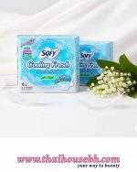 SOFY Cooling Fresh Slim 25cm 6 Pieces - Image 2