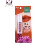 BABY BRIGHT Lip & Cheek Matte Tint #29 Rust Orange 2.4g