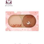 Ashley Contour Powder  No. 02