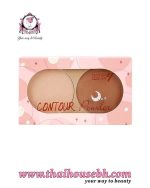 Ashley Contour Powder  No. 02