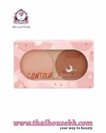 Ashley Contour Powder No. 03